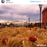 Цветочный джем: Тульское поле в Москве, Фото: 23