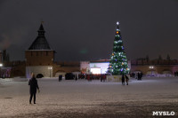 В Тульском кремле открыли новогоднюю ёлку, Фото: 9