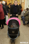 В Туле прошла Всероссийская выставка собак всех пород, Фото: 21
