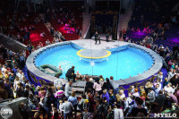 Цирк на воде «Остров сокровищ» в Туле: Здесь невозможное становится возможным, Фото: 61