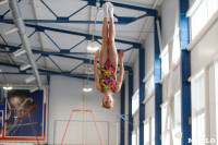 Соревнования по художественной гимнастике, Фото: 14