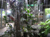 , Фото: 91