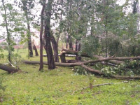 Комсомольский парк после шторма, Фото: 3