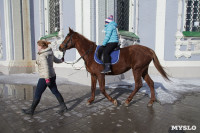 В Тульском кремле проходят масленичные гуляния, Фото: 48