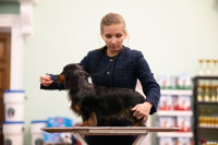 Выставка собак в ДК "Косогорец", Фото: 44