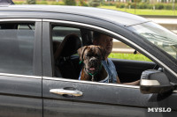 День ВДВ 2025, Фото: 73