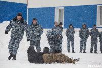 "Студенческий десант" - 2017., Фото: 23