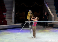 «В Тульском цирке прошла открытая репетиция программы «Цирк зажигает огни», Фото: 11
