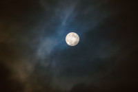 Бобровое суперлуние в Туле: фоторепортаж, Фото: 6