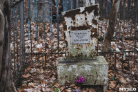 Кладбища Алексина зарастают мусором и деревьями, Фото: 46