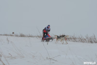 Гонки на собачьих упряжках «Большой тур» на Куликовом поле, Фото: 91