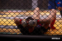 Турнир по ММА памяти Алексея Калинина собрал лучших бойцов страны: фоторепортаж, Фото: 150