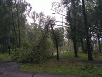 Комсомольский парк после шторма, Фото: 5