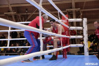 Финал турнира по боксу "Гран-при Тулы", Фото: 171
