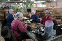 Тульская делегация с рабочим визитом посетила Ульяновскую область, Фото: 6