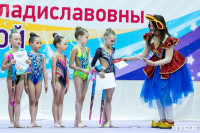 Тула провела крупный турнир по художественной гимнастике, Фото: 208