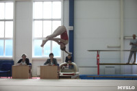 Соревнования по спортивной гимнастике на призы Заслуженных мастеров спорта , Фото: 30