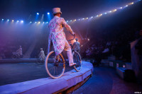 Выпускной бал в Тульском цирке, Фото: 70