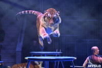 Цирковое шоу, Фото: 112