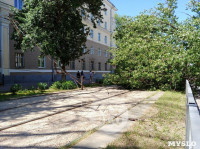 Упавшее дерево перекрыло ул. Болдина, Фото: 1