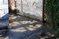  Переправа для кота Коленьки: в Туле паводок подобрался к домам жителей Тупика Реки Воронки, Фото: 47