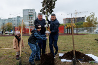 Администрация Тулы вместе с депутатами высадили клёны во дворе дома для военнослужащих в Туле, Фото: 14