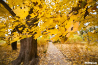 Золотая осень в Ясной Поляне, Фото: 109