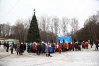 Открытие елки на площади искусств. 19.12.2014, Фото: 17