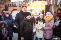 В Тульском кремле открылась новогодняя елка, Фото: 32