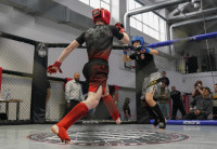 В Новомосковске прошел Чемпионат и Первенство Тульской области по ММА, Фото: 15