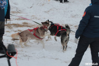 Гонки на собачьих упряжках «Большой тур» на Куликовом поле, Фото: 76
