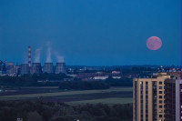 Осетровая Луна 2025, Фото: 7