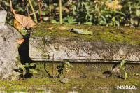 Всехсвятское кладбище, Фото: 103