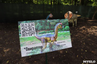 В Туле появился парк с интерактивными динозаврами, Фото: 22