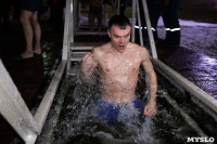 В Центральном парке Тулы прошли крещенские купания, Фото: 94