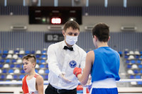 Чемпионат Тульской области по боксу, Фото: 34