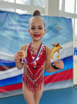 Тульские гимнастки завоевали медали на чемпионате Калужской области, Фото: 7