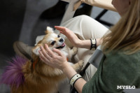 Как прошел книжный своп в «Октаве»: фоторепортаж, Фото: 66