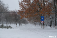 Снежная Тула. 15 ноября 2015, Фото: 32