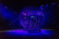 "Чудеса под Новый год" в Тульском цирке, Фото: 86