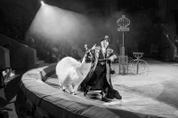 "Чудеса под Новый год" в Тульском цирке, Фото: 54