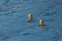первенство цфо по синхронному плаванию, Фото: 43