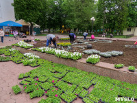 В Кировском сквере Тулы высадят 20 тысяч цветов, Фото: 7