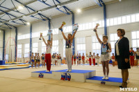 Спортивная гимнастика в Туле 3.12, Фото: 63