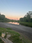 В Туле неожиданно обмелел пруд в Рогожинском парке, Фото: 1