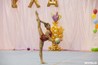 Соревнования по художественной гимнастике "Тульский сувенир", Фото: 81