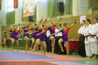 Открытое первенство и чемпионат Тульской области по сётокану, Фото: 18