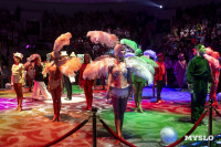 Шоу воды, огня и света, Фото: 194