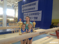 Туляки на соревнованиях по спортивной гимнастике в Брянске., Фото: 6