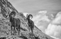 , Фото: 4